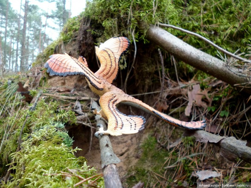 Карнотавры: спорная территория