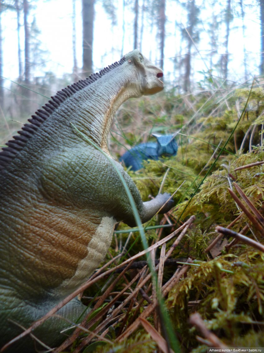 Карнотавры: спорная территория