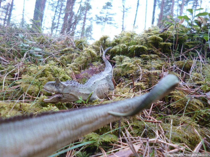 Карнотавры: спорная территория