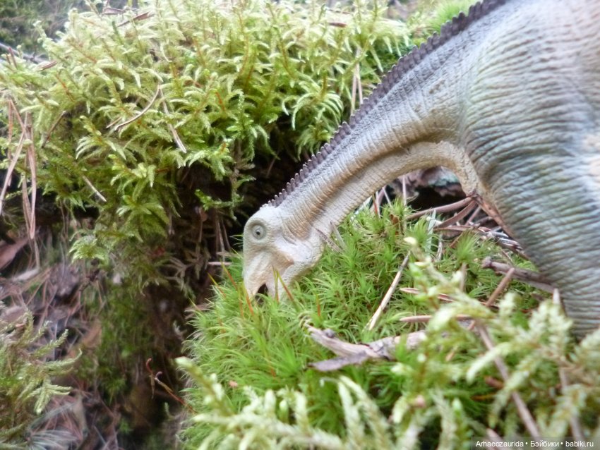 Карнотавры: спорная территория