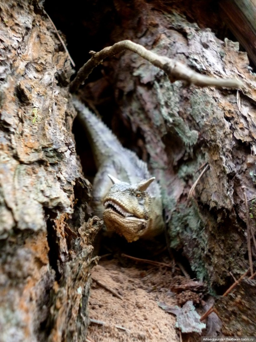 Карнотавры: спорная территория