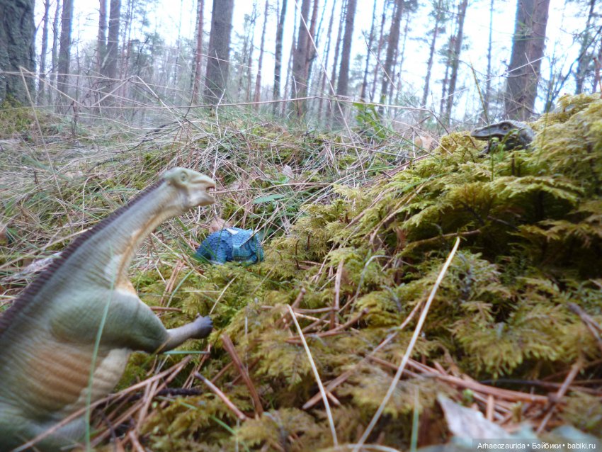 Карнотавры: спорная территория