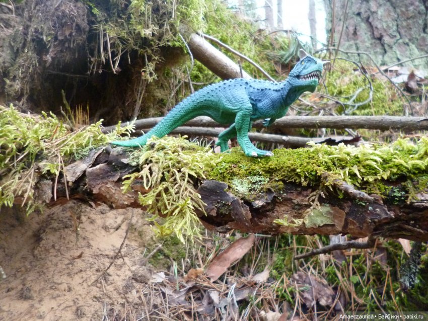 Карнотавры: спорная территория (фото 5)