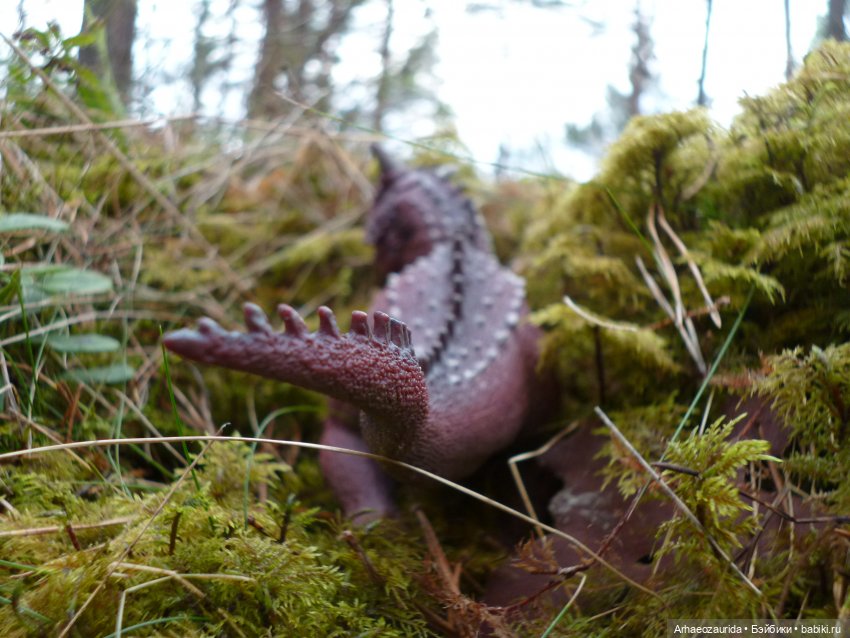 Карнотавры: спорная территория