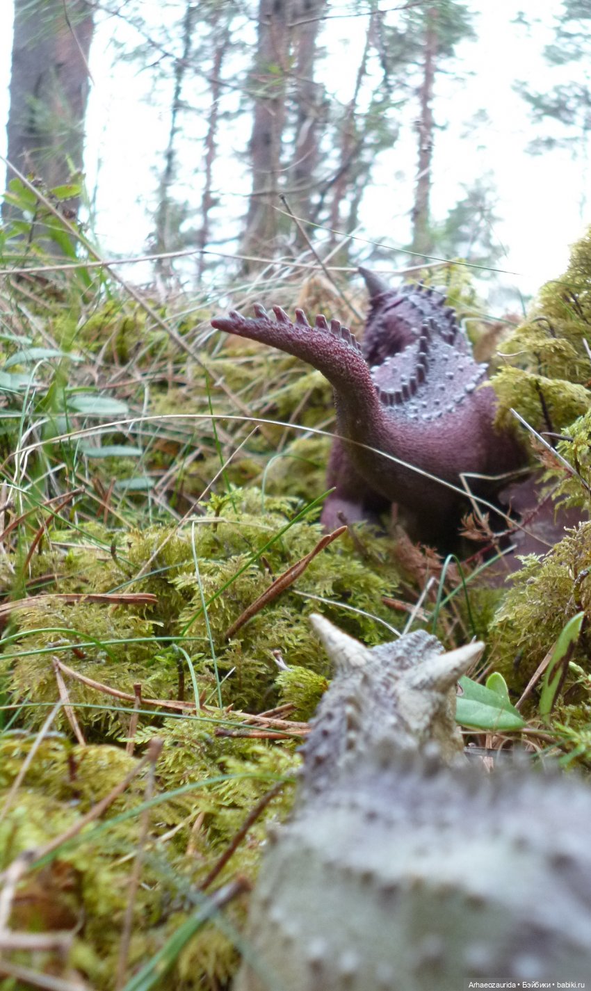 Карнотавры: спорная территория