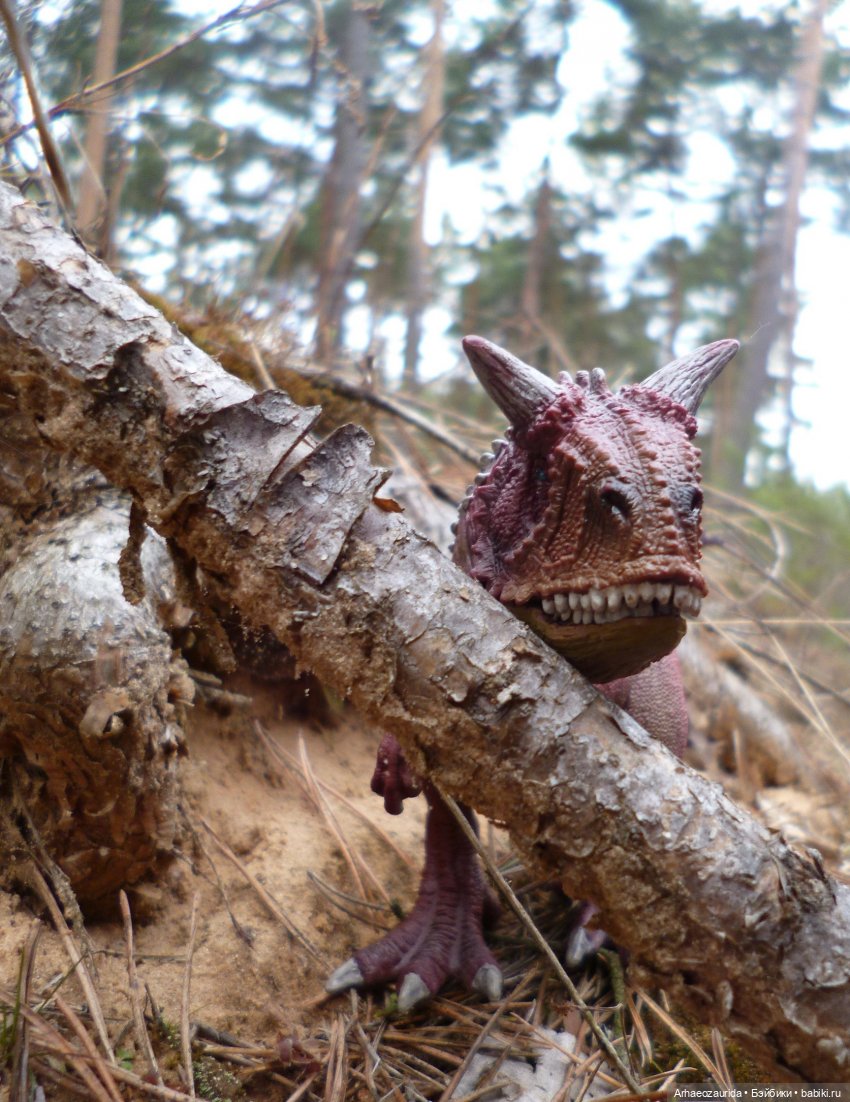 Карнотавры: спорная территория