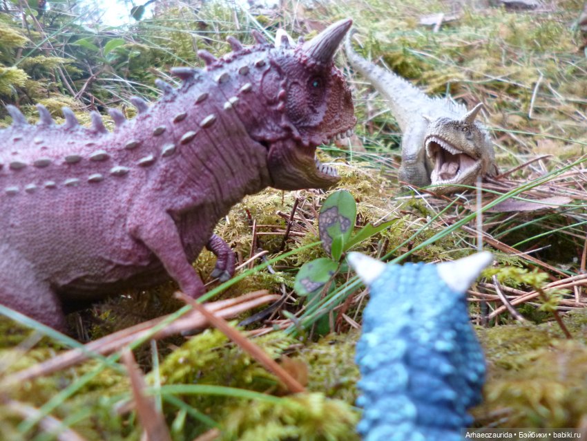 Карнотавры: спорная территория