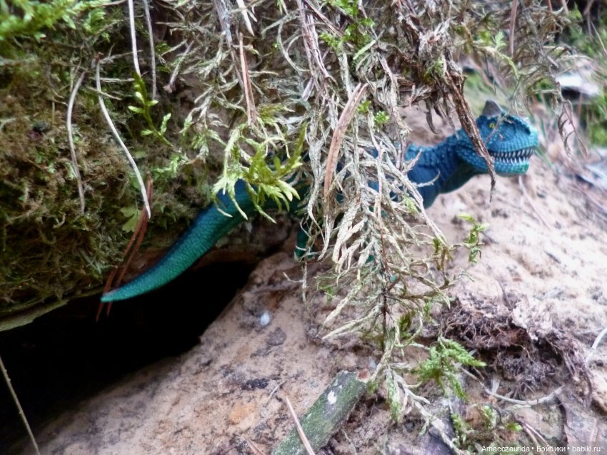 Карнотавры: спорная территория (фото 6)