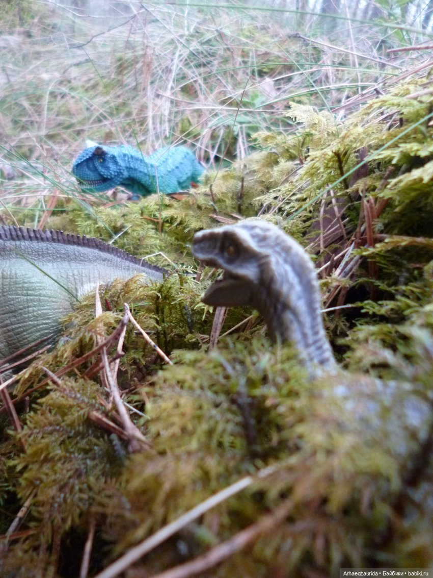 Карнотавры: спорная территория