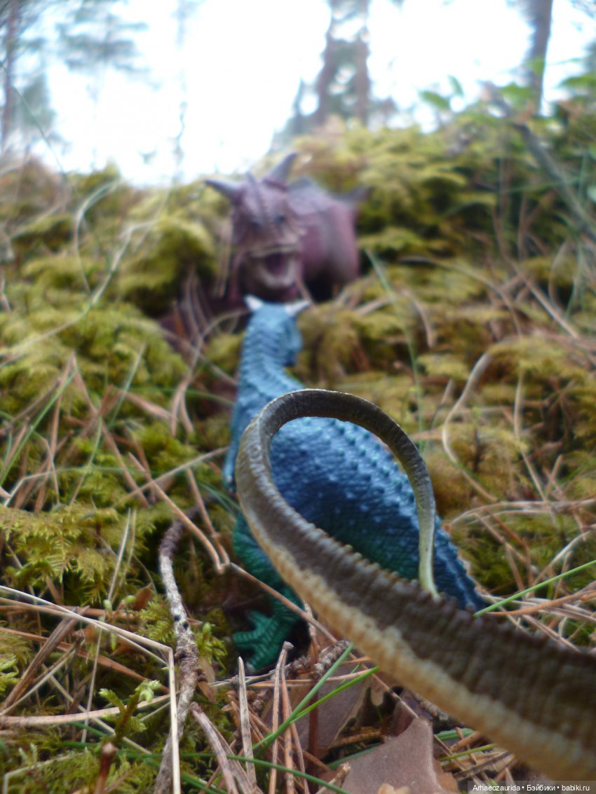 Карнотавры: спорная территория