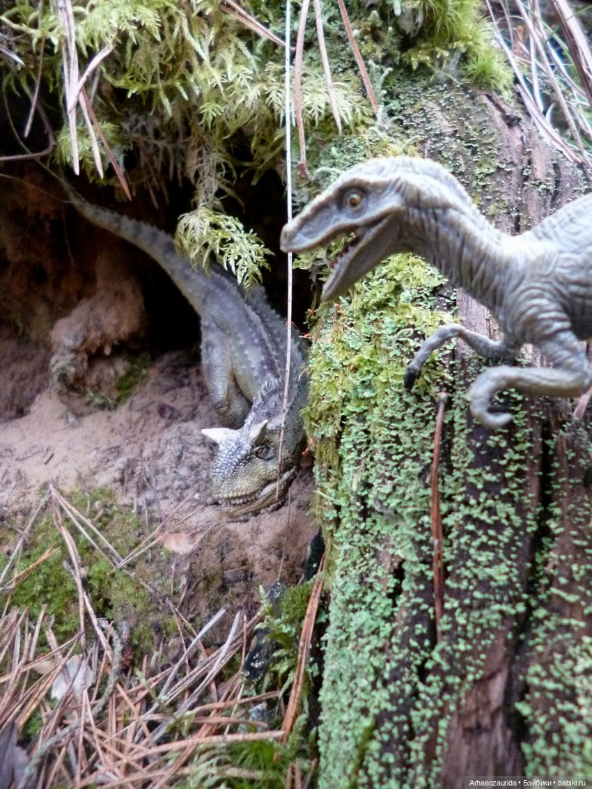 Карнотавры: спорная территория (фото 10)