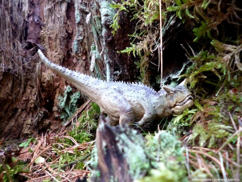 Карнотавры: спорная территория (фото 2)