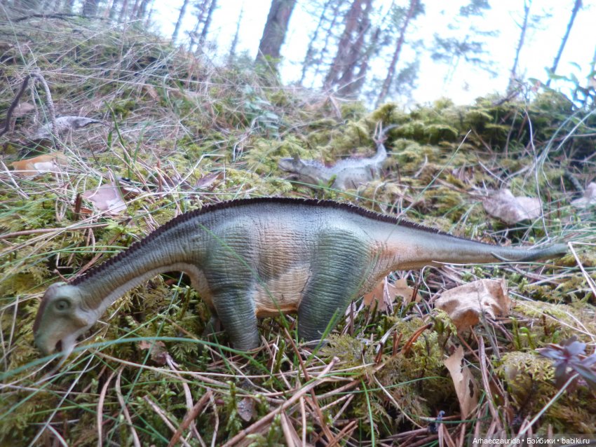 Карнотавры: спорная территория