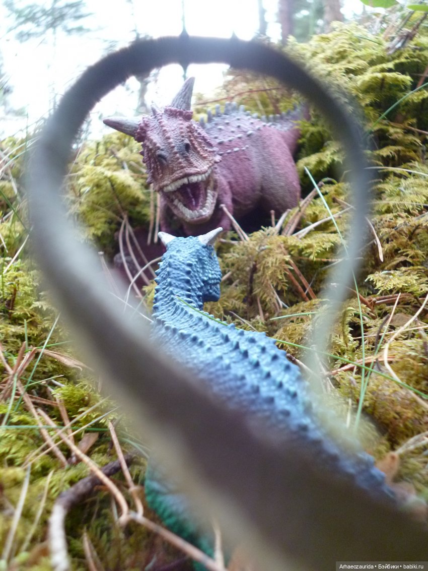 Карнотавры: спорная территория