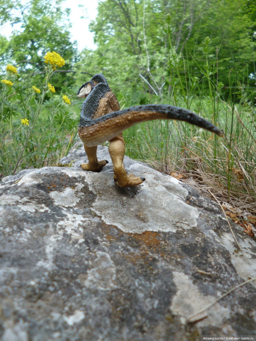 Скрытноречье: ящеры в горах и у моря