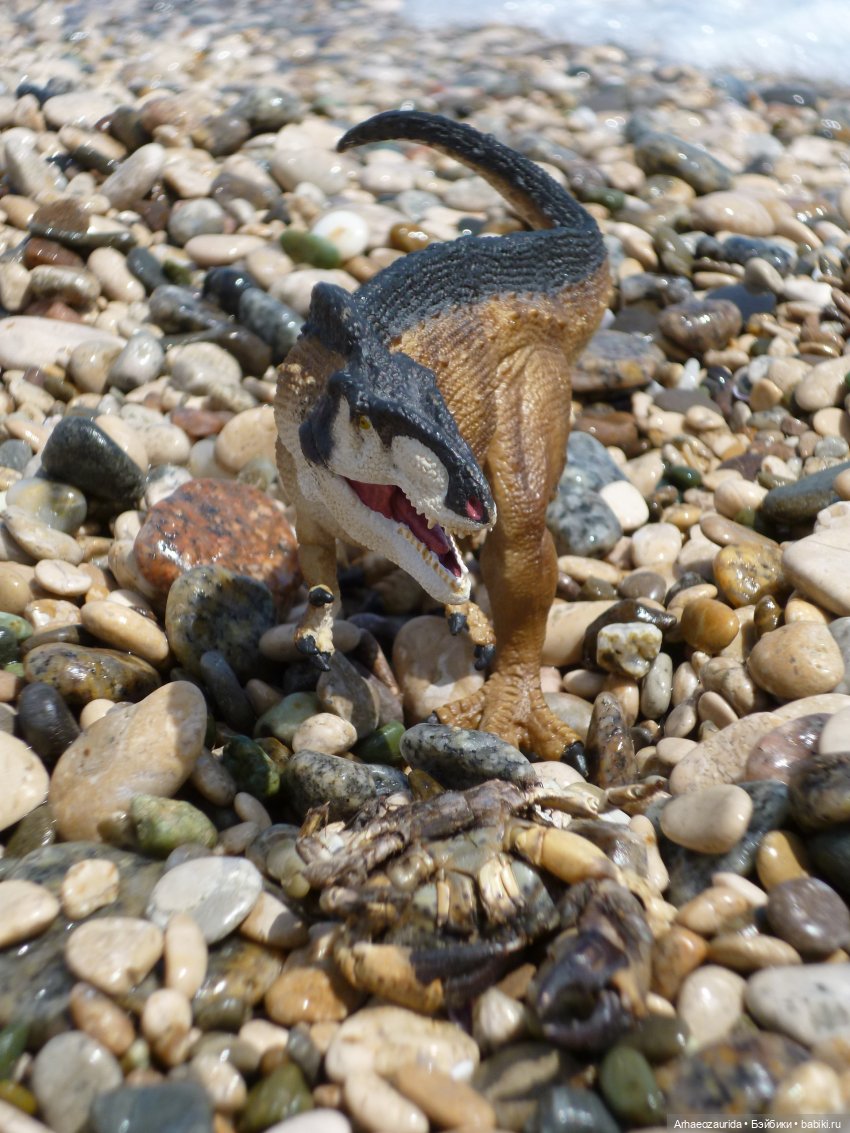 Скрытноречье: ящеры в горах и у моря