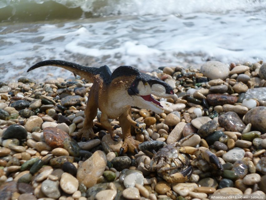 Скрытноречье: ящеры в горах и у моря