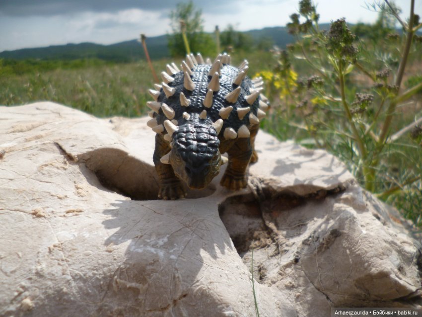 Скрытноречье: ящеры в горах и у моря (фото 9)