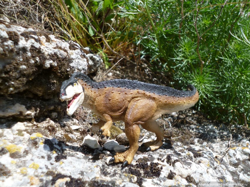 Скрытноречье: ящеры в горах и у моря (фото 4)