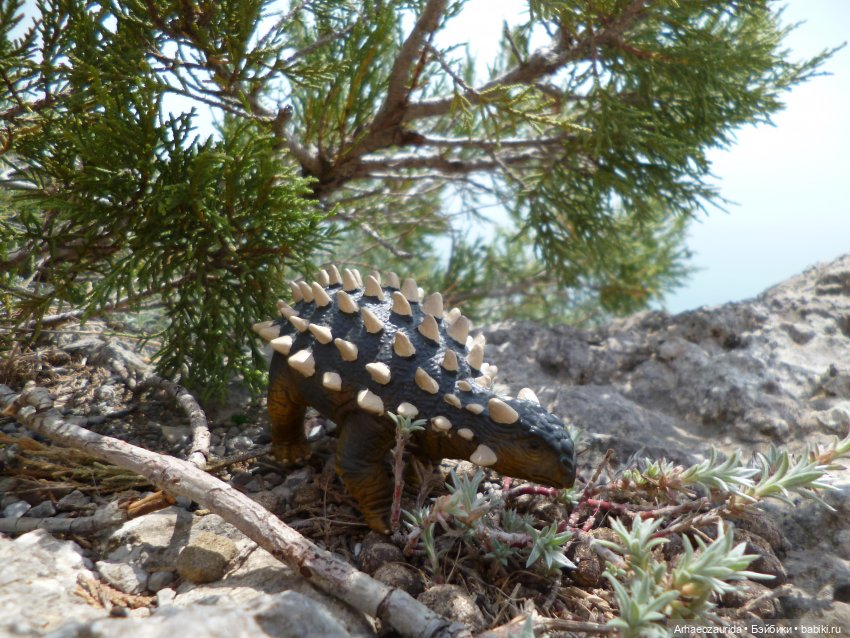 Скрытноречье: ящеры в горах и у моря (фото 10)