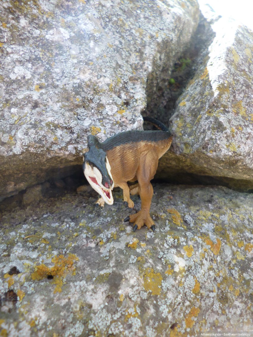 Скрытноречье: ящеры в горах и у моря