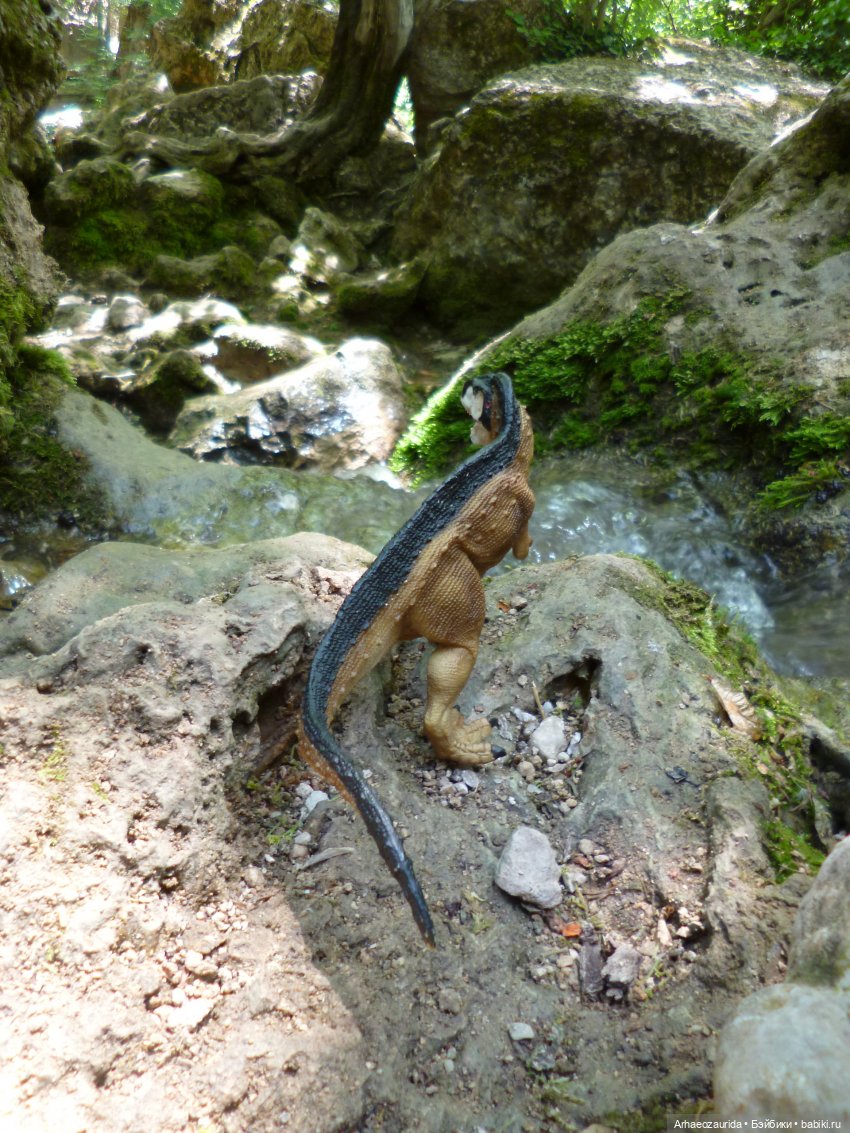 Скрытноречье: ящеры в горах и у моря
