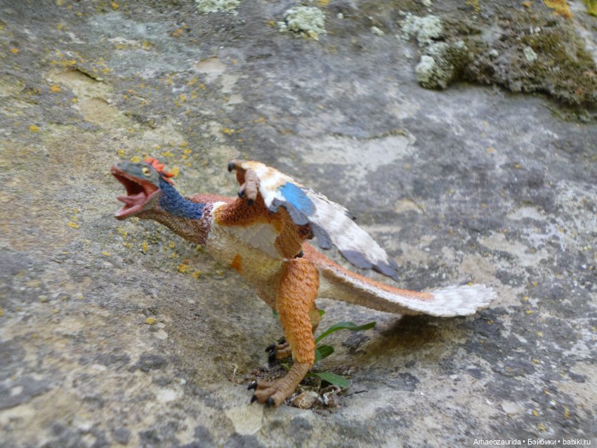 Скрытноречье: ящеры в горах и у моря