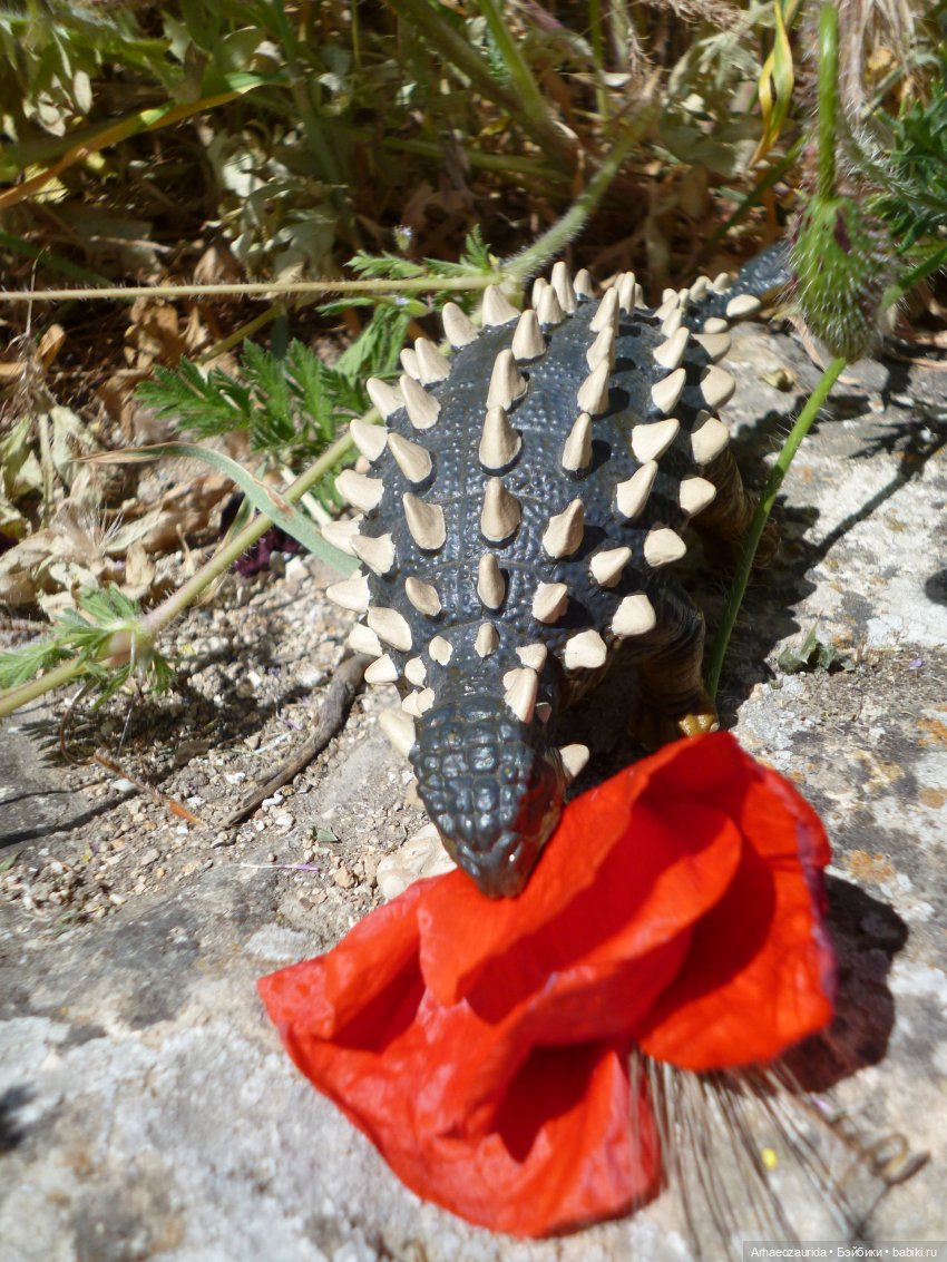 Скрытноречье: ящеры в горах и у моря (фото 7)