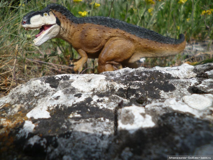 Скрытноречье: ящеры в горах и у моря