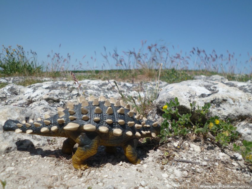Скрытноречье: ящеры в горах и у моря (фото 5)