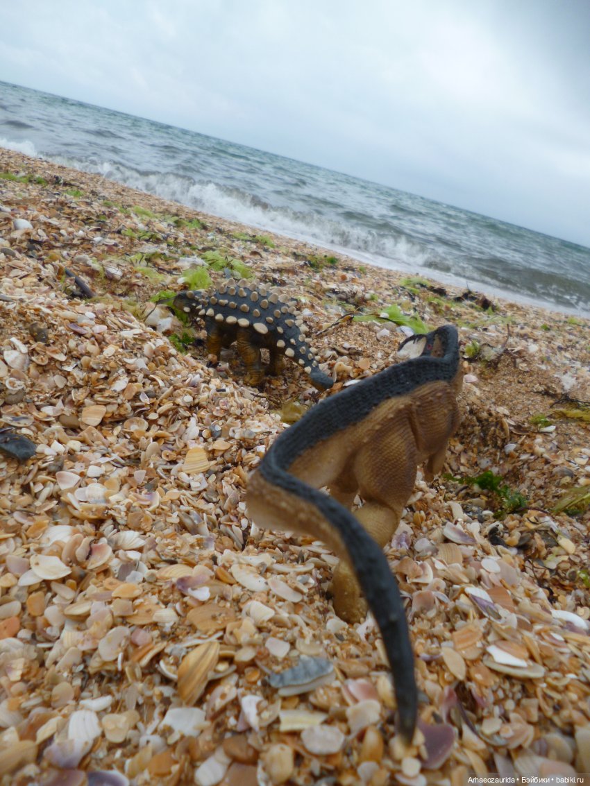 Путешествие Зурги: первая подсказка | Бэйбики Путешествие Зурги: первая подсказка