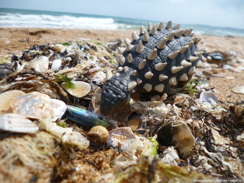 Путешествие Зурги: первая подсказка | Бэйбики Путешествие Зурги: первая подсказка