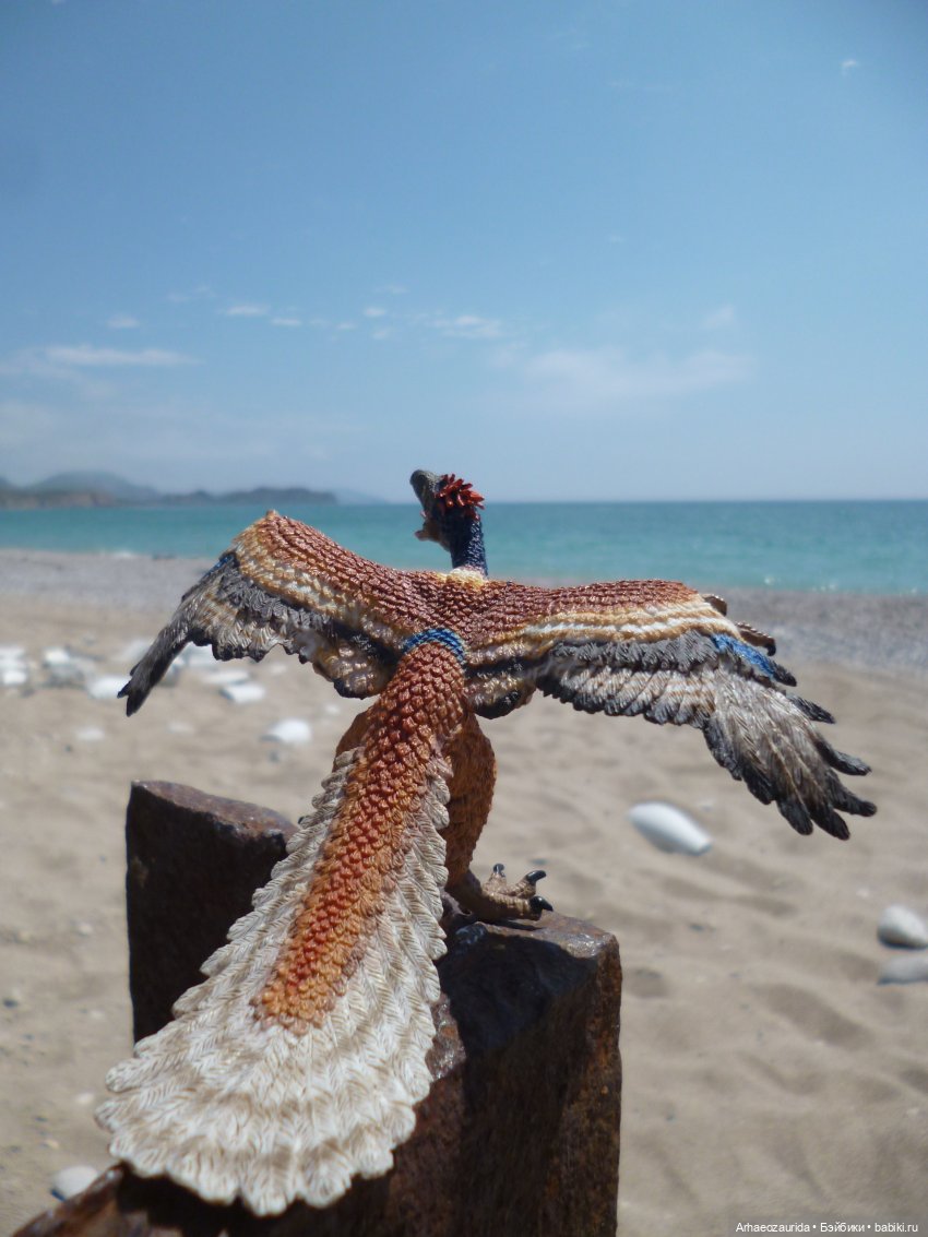 Путешествие Зурги: первая подсказка | Бэйбики Путешествие Зурги: первая подсказка (фото 3)