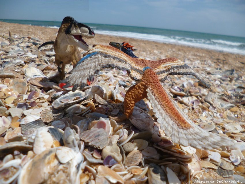 Путешествие Зурги: первая подсказка | Бэйбики Путешествие Зурги: первая подсказка