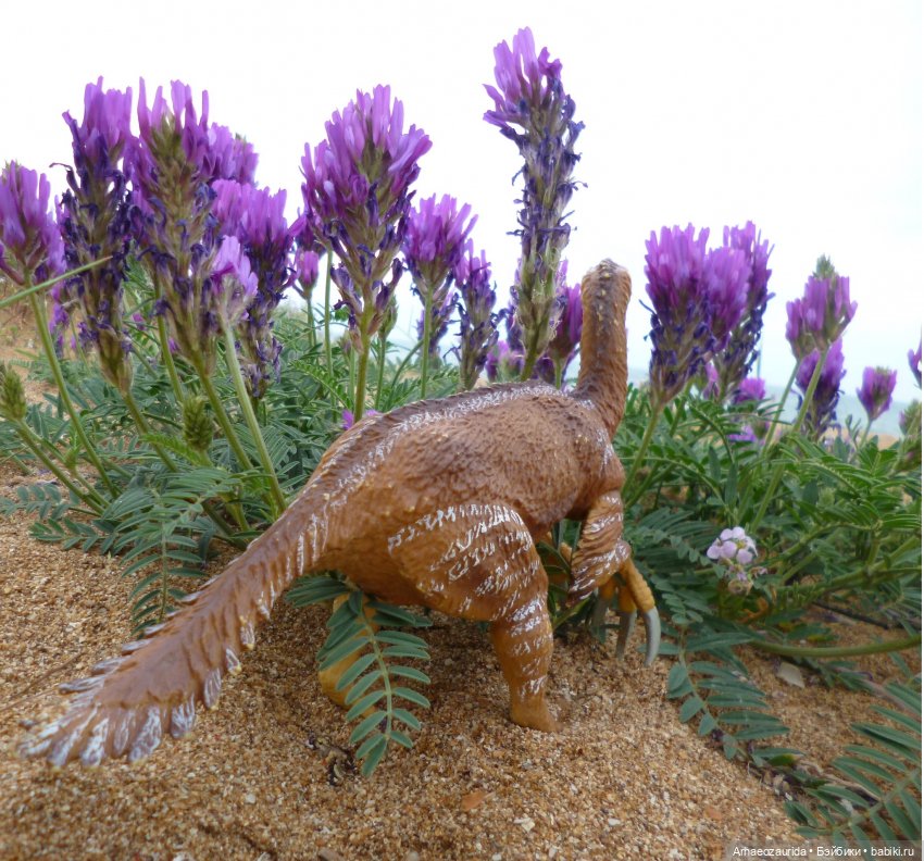 Путешествие Зурги: первая подсказка | Бэйбики Путешествие Зурги: первая подсказка