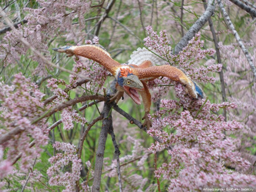 Путешествие Зурги: первая подсказка | Бэйбики Путешествие Зурги: первая подсказка (фото 10)