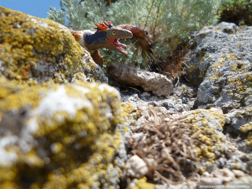 Путешествие Зурги: первая подсказка | Бэйбики Путешествие Зурги: первая подсказка