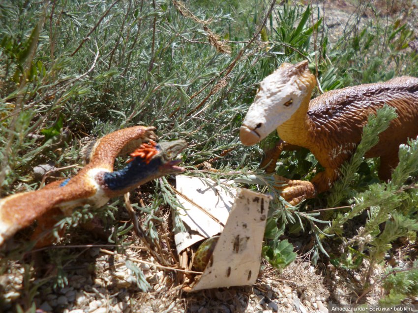 Путешествие Зурги: первая подсказка | Бэйбики Путешествие Зурги: первая подсказка