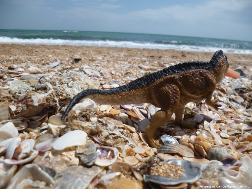 Путешествие Зурги: первая подсказка | Бэйбики Путешествие Зурги: первая подсказка