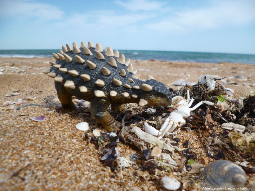 Путешествие Зурги: первая подсказка | Бэйбики Путешествие Зурги: первая подсказка