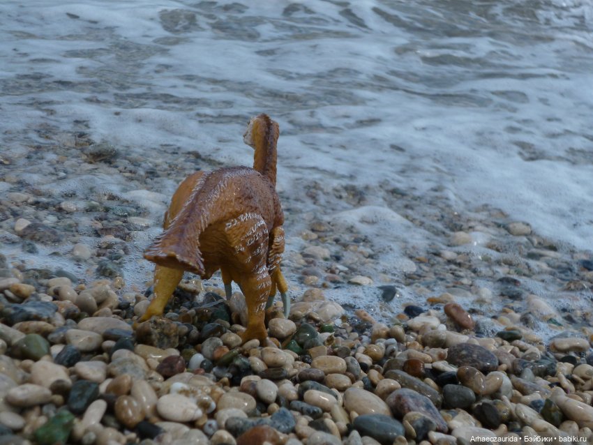 Путешествие Зурги: первая подсказка | Бэйбики Путешествие Зурги: первая подсказка (фото 6)