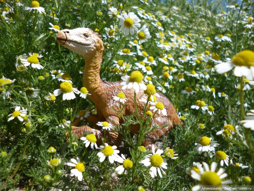 Путешествие Зурги: первая подсказка | Бэйбики Путешествие Зурги: первая подсказка