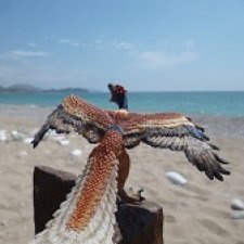 Путешествие Зурги: первая подсказка