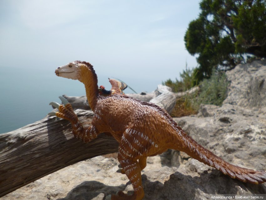 Путешествие Зурги: горные тропы (фото 8)