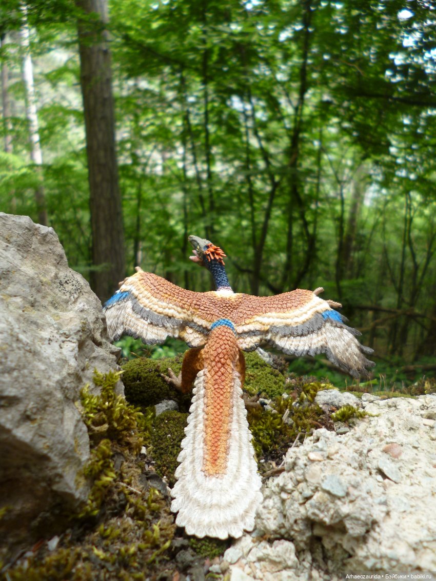 Путешествие Зурги: горные тропы