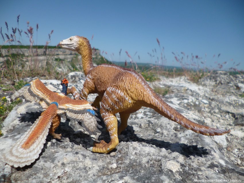 Путешествие Зурги: горные тропы (фото 5)