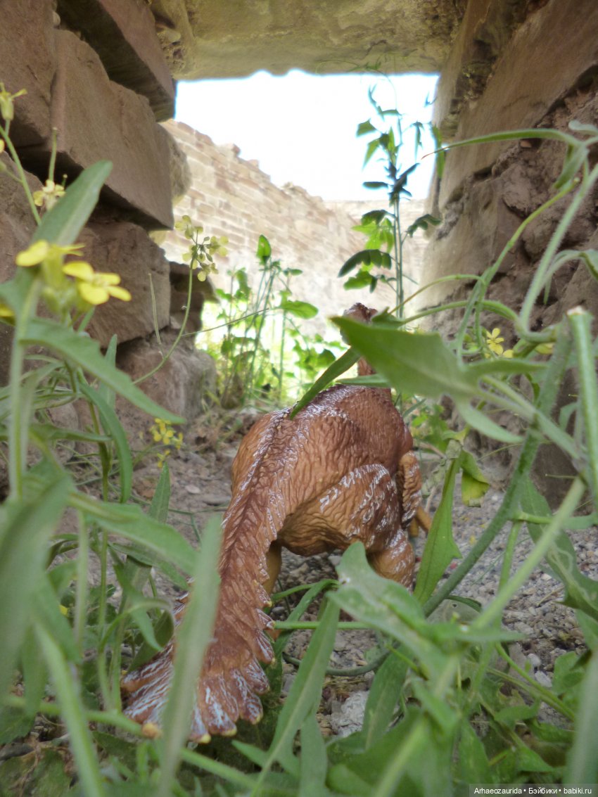 Путешествие Зурги: горные тропы (фото 4)