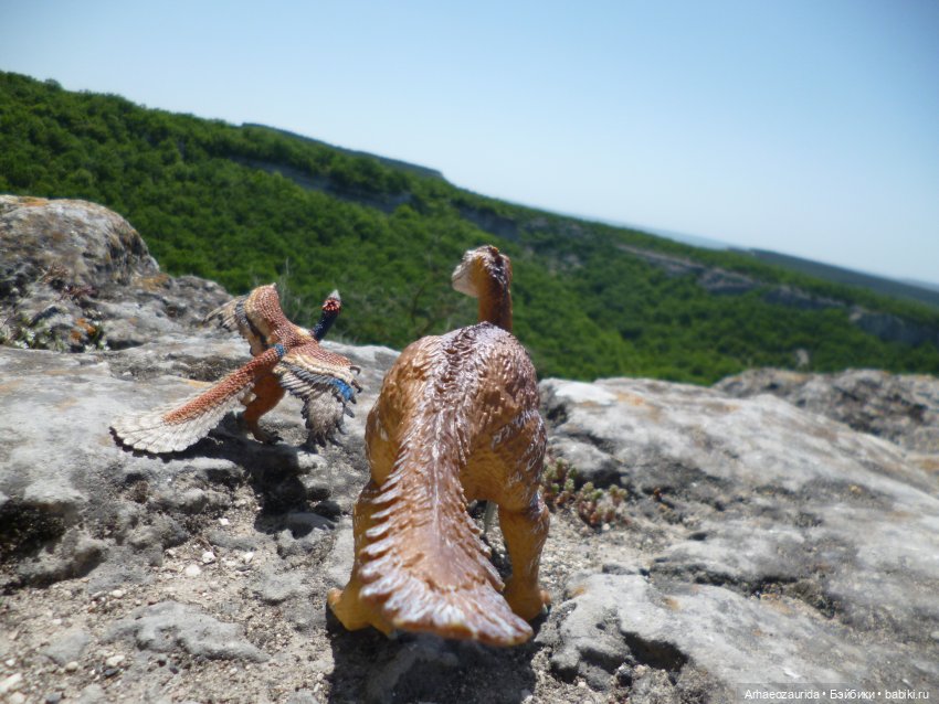 Путешествие Зурги: горные тропы (фото 3)