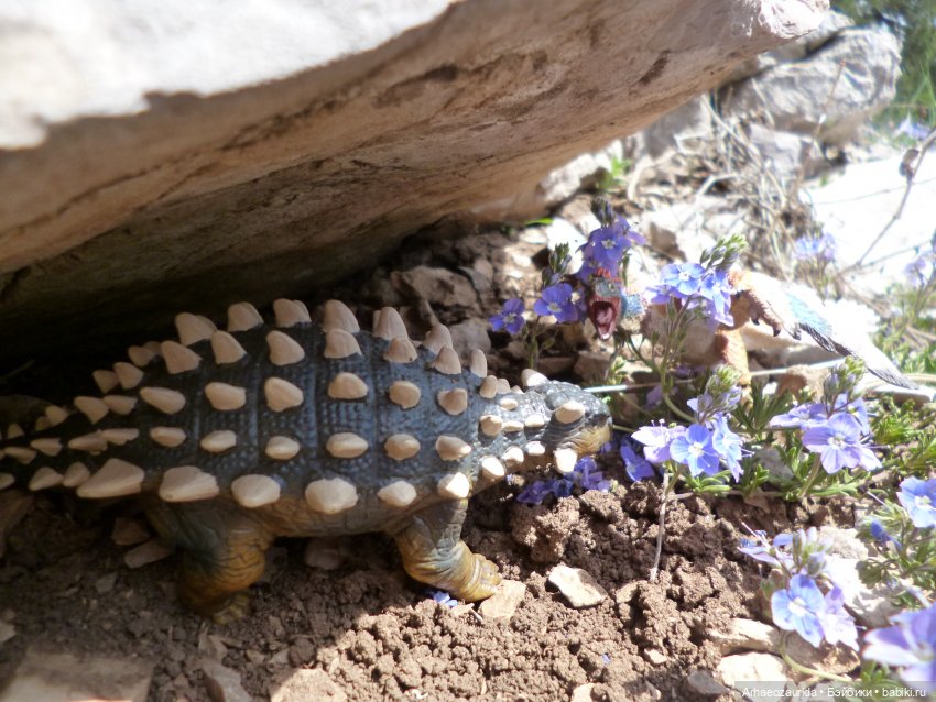 Путешествие Зурги: горные тропы