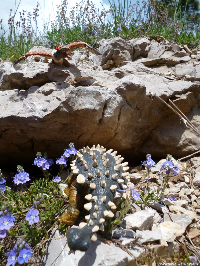 Путешествие Зурги: горные тропы